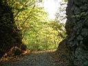 2007-05-22 075.JPG